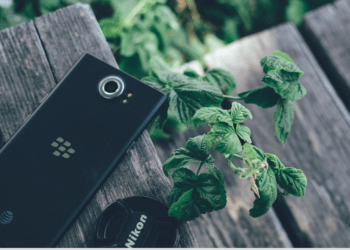 BlackBerry phone