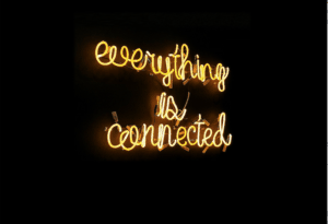 EVerything is Connected