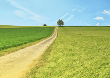 agriculture