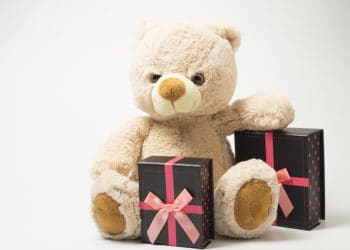 teddy bear