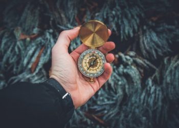 PHOTO by Valentin Antonucci from Pexels