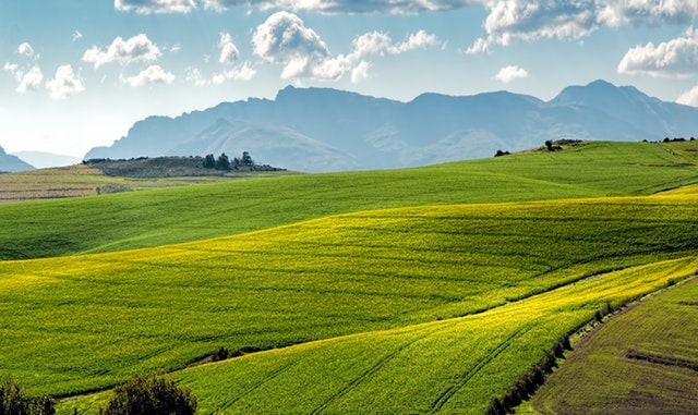 PHOTO by Pixabay from Pexels