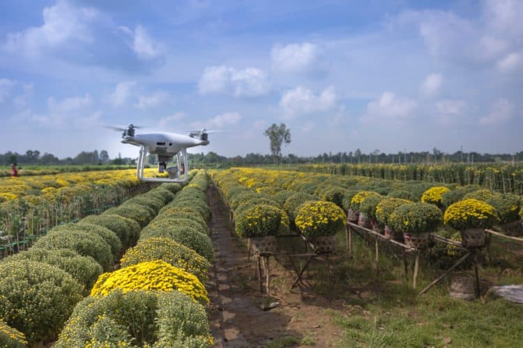 Image from Pexel/Quang Nguyen Vinh