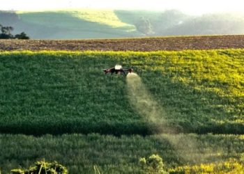 XAG P Series drone on the work of sugarcane ripening in South Africa
