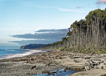 Tasman Sea in New Zealand (Image by Makalu from Pixabay)