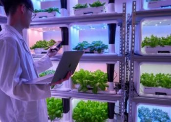 Photo from Growgreen website.