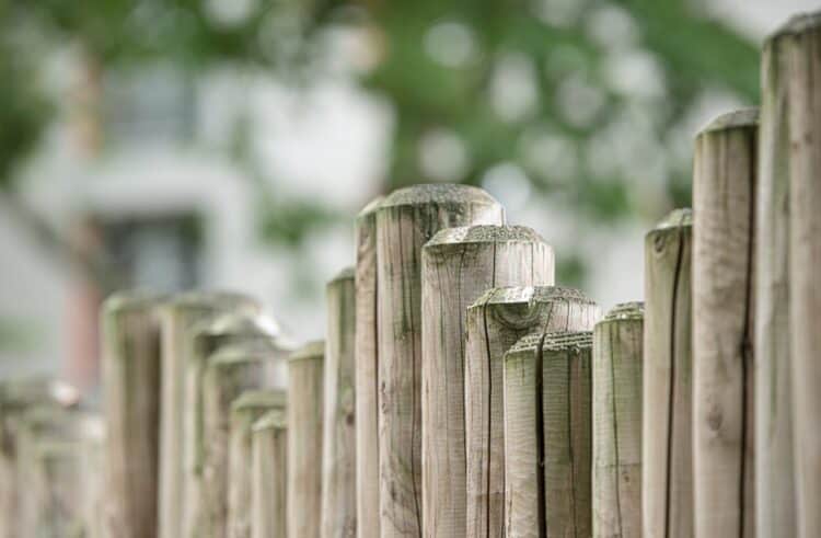 Photo by Pixabay: https://www.pexels.com/photo/brown-wooden-fence-in-front-48246/