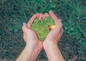 Photo by Min An: https://www.pexels.com/photo/person-holding-green-grains-1230157/