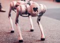 Photo by Gezer Amorim from Pexels: https://www.pexels.com/photo/white-dog-robot-26804169/