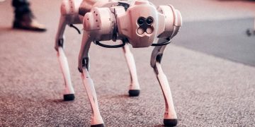 Photo by Gezer Amorim from Pexels: https://www.pexels.com/photo/white-dog-robot-26804169/