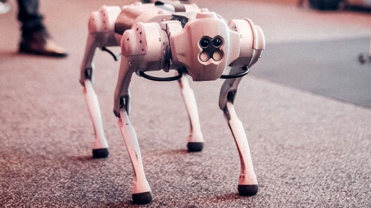 Photo by Gezer Amorim from Pexels: https://www.pexels.com/photo/white-dog-robot-26804169/