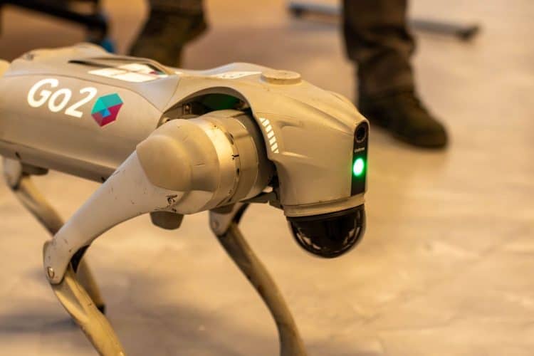 Photo by Vladimir Srajber from Pexels: https://www.pexels.com/photo/advanced-robotic-dog-in-indoor-setting-29393025/